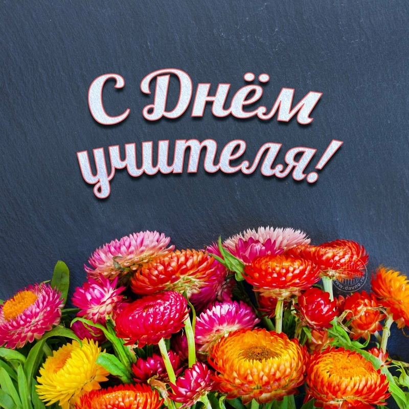 С Днём Учителя!